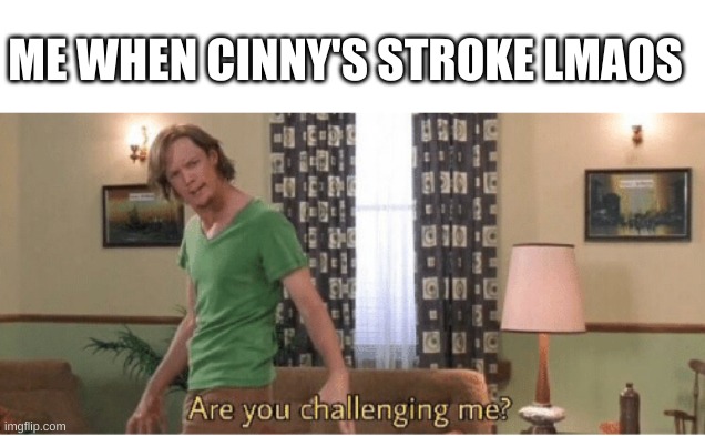 L<AO*AOAKOYPP*^R^OF&P*FORXTOUYJAIIWNA8WN8AAJNSUE782NANA | ME WHEN CINNY'S STROKE LMAOS | image tagged in are you challenging me | made w/ Imgflip meme maker