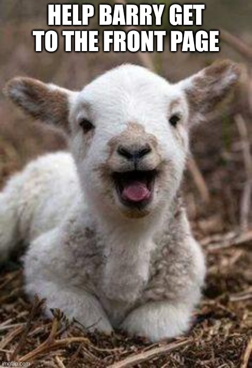 Laughing Goat | HELP BARRY GET TO THE FRONT PAGE | image tagged in laughing goat | made w/ Imgflip meme maker
