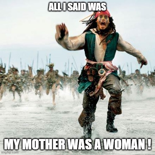 Captain Jack Sparrow |  ALL I SAID WAS; MY MOTHER WAS A WOMAN ! | image tagged in captain jack sparrow | made w/ Imgflip meme maker