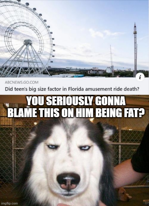 Wrong! | YOU SERIOUSLY GONNA BLAME THIS ON HIM BEING FAT? | image tagged in seriously_husky | made w/ Imgflip meme maker