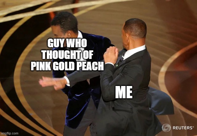 Will Smith punching Chris Rock | GUY WHO THOUGHT OF PINK GOLD PEACH; ME | image tagged in will smith punching chris rock | made w/ Imgflip meme maker