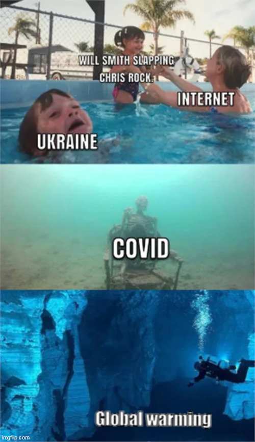 6afqav.jpg