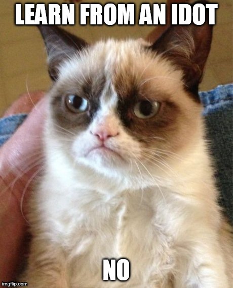 Grumpy Cat Meme | LEARN FROM AN IDOT NO | image tagged in memes,grumpy cat | made w/ Imgflip meme maker