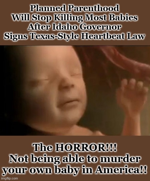 Separate and unique DNA, and 50% a different gender (male or female). | Planned Parenthood Will Stop Killing Most Babies After Idaho Governor Signs Texas-Style Heartbeat Law; The HORROR!!!
Not being able to murder your own baby in America!! | image tagged in abortion is murder,evil,demonic,democrats | made w/ Imgflip meme maker