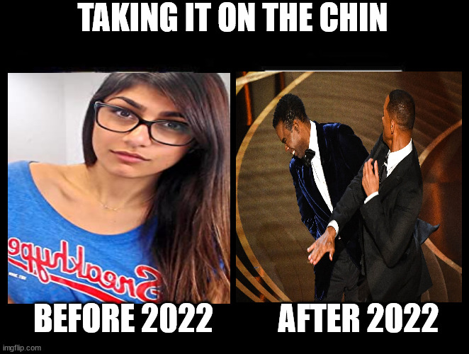 Before and After | TAKING IT ON THE CHIN; BEFORE 2022; AFTER 2022 | image tagged in before and after | made w/ Imgflip meme maker