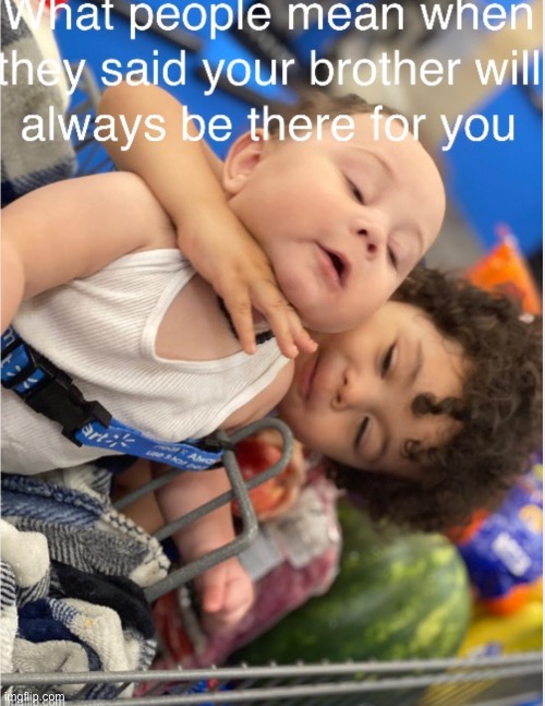 What brothers are meant for ? | image tagged in funny | made w/ Imgflip meme maker