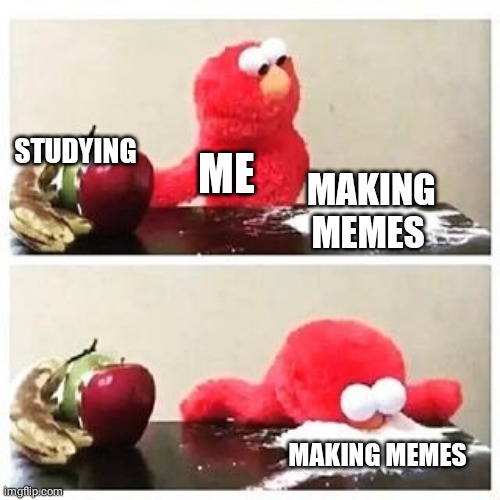 elmo cocaine | STUDYING; ME; MAKING MEMES; MAKING MEMES | image tagged in elmo cocaine | made w/ Imgflip meme maker