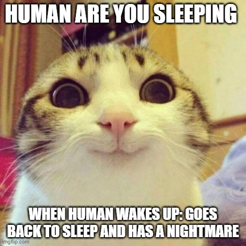 Smiling Cat | HUMAN ARE YOU SLEEPING; WHEN HUMAN WAKES UP: GOES BACK TO SLEEP AND HAS A NIGHTMARE | image tagged in memes,smiling cat | made w/ Imgflip meme maker