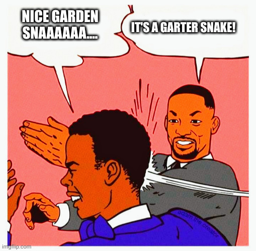 not a garden snake | NICE GARDEN SNAAAAAA.... IT'S A GARTER SNAKE! | image tagged in snakes | made w/ Imgflip meme maker