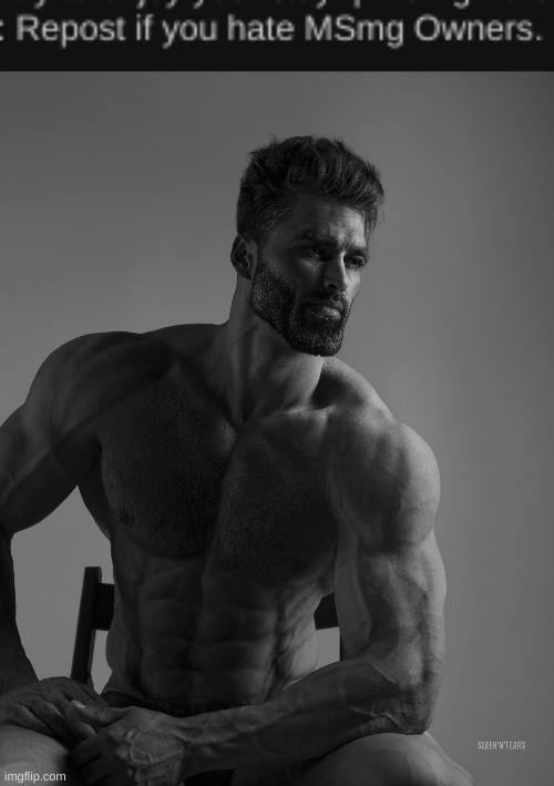 i only hate some of them. wont say who tho | image tagged in giga chad | made w/ Imgflip meme maker