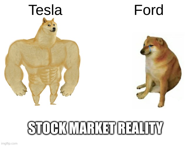 Buff Doge vs. Cheems | Tesla; Ford; STOCK MARKET REALITY | image tagged in memes,buff doge vs cheems | made w/ Imgflip meme maker