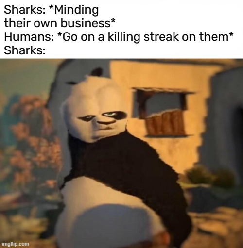 Sharks are done dirty, bro | Sharks: *Minding their own business*
Humans: *Go on a killing streak on them* 
Sharks: | image tagged in kung fu panda distorted meme | made w/ Imgflip meme maker