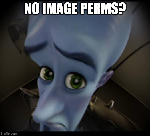 Megamind peeking | NO IMAGE PERMS? | image tagged in no bitches | made w/ Imgflip meme maker