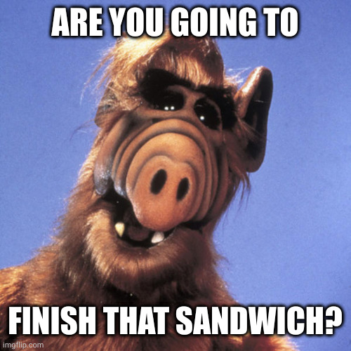 Alf  | ARE YOU GOING TO FINISH THAT SANDWICH? | image tagged in alf | made w/ Imgflip meme maker