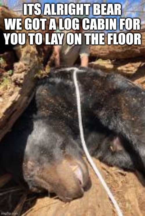 bear rug bear before how bout no bear | ITS ALRIGHT BEAR WE GOT A LOG CABIN FOR YOU TO LAY ON THE FLOOR | image tagged in alright bear,bear rug bear,bubu,pick nick,bear,how about no bear | made w/ Imgflip meme maker