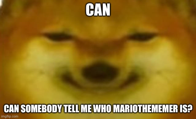 Si | CAN; CAN SOMEBODY TELL ME WHO MARIOTHEMEMER IS? | image tagged in si | made w/ Imgflip meme maker