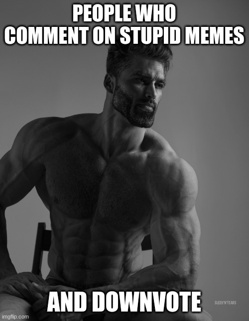 Giga Chad | PEOPLE WHO COMMENT ON STUPID MEMES AND DOWNVOTE | image tagged in giga chad | made w/ Imgflip meme maker