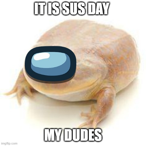 Wednesday Frog Blank | IT IS SUS DAY; MY DUDES | image tagged in wednesday frog blank | made w/ Imgflip meme maker