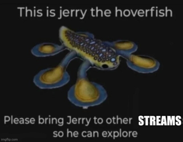 meet jerry dude | image tagged in jerry | made w/ Imgflip meme maker