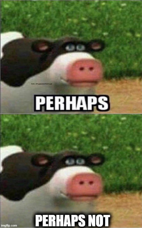 PERHAPS NOT | image tagged in perhaps cow,perhaps barnyard | made w/ Imgflip meme maker