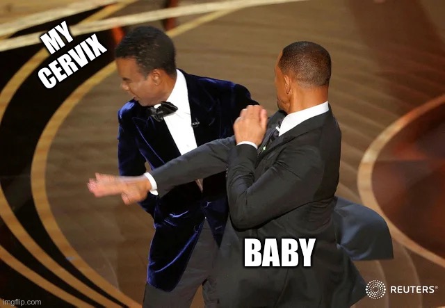 Pregnancy | MY CERVIX; BABY | image tagged in will smith punching chris rock | made w/ Imgflip meme maker