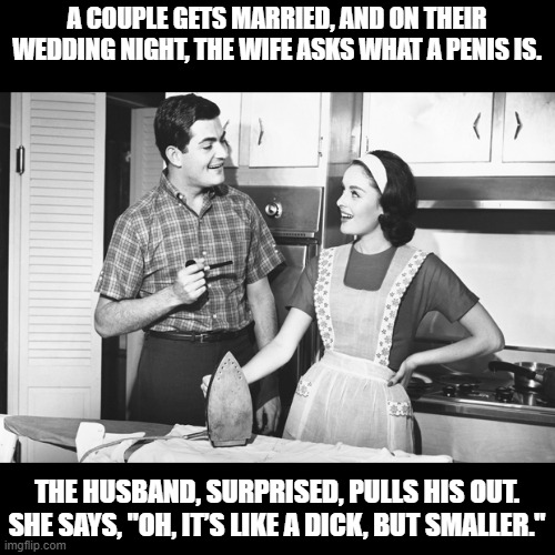 Size Does Matter | A COUPLE GETS MARRIED, AND ON THEIR WEDDING NIGHT, THE WIFE ASKS WHAT A PENIS IS. THE HUSBAND, SURPRISED, PULLS HIS OUT.
SHE SAYS, "OH, IT’S LIKE A DICK, BUT SMALLER." | image tagged in vintage husband and wife | made w/ Imgflip meme maker