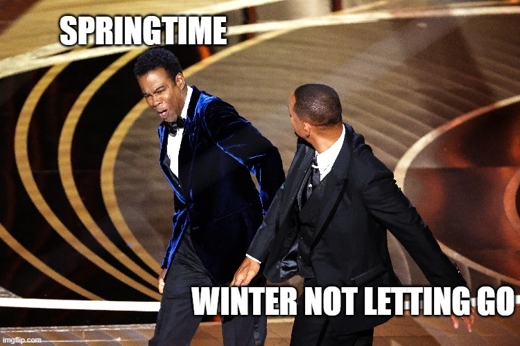 uhoh spring | SPRINGTIME; WINTER NOT LETTING GO | image tagged in will smith punching chris rock | made w/ Imgflip meme maker