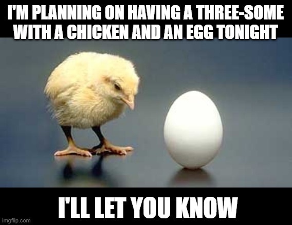 First? | I'M PLANNING ON HAVING A THREE-SOME WITH A CHICKEN AND AN EGG TONIGHT; I'LL LET YOU KNOW | image tagged in chicken and egg | made w/ Imgflip meme maker