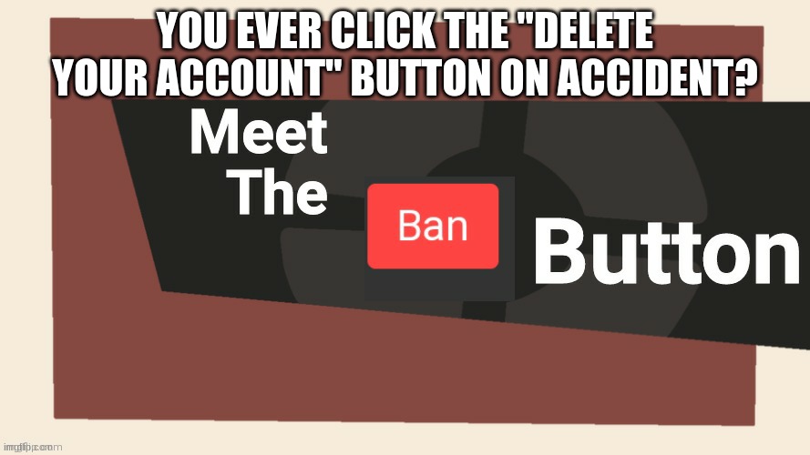 Meet the ban button | YOU EVER CLICK THE "DELETE YOUR ACCOUNT" BUTTON ON ACCIDENT? | image tagged in meet the ban button | made w/ Imgflip meme maker