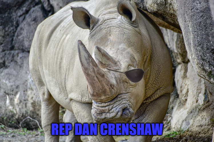 REP DAN CRENSHAW | image tagged in rino,dan crenshaw,rhino | made w/ Imgflip meme maker