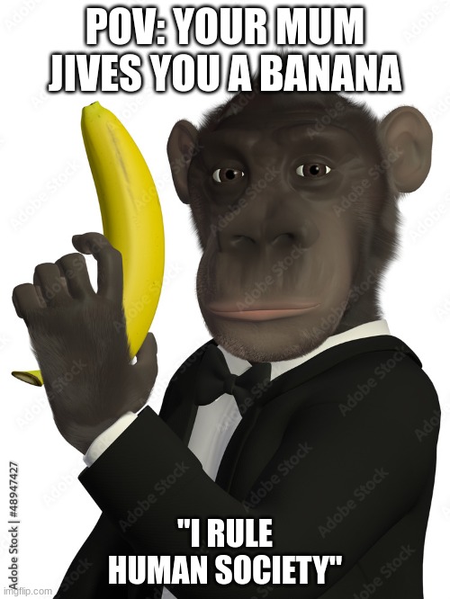 Pov: banana | POV: YOUR MUM JIVES YOU A BANANA; "I RULE HUMAN SOCIETY" | image tagged in funny memes | made w/ Imgflip meme maker