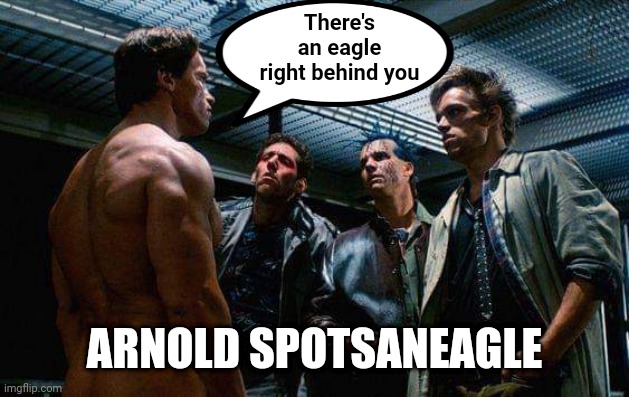 I'll see back | There's an eagle right behind you; ARNOLD SPOTSANEAGLE | image tagged in arnold confronts | made w/ Imgflip meme maker