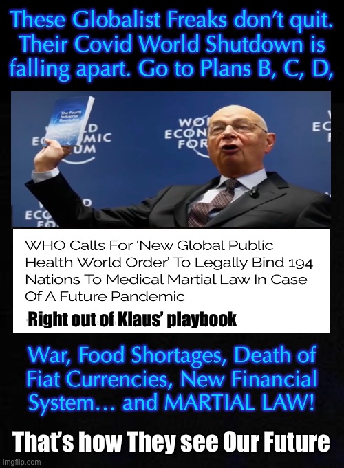 You can keep your head in the sand - but when you finally WAKE UP and poke yer head out—EVERYTHING will SUCK | These Globalist Freaks don’t quit.
Their Covid World Shutdown is
falling apart. Go to Plans B, C, D, Right out of Klaus’ playbook; War, Food Shortages, Death of
Fiat Currencies, New Financial
System… and MARTIAL LAW! That’s how They see Our Future | image tagged in memes,world domination by elite globalists,all stacked against you me us,we cannot let them proceed,resist,fight back | made w/ Imgflip meme maker