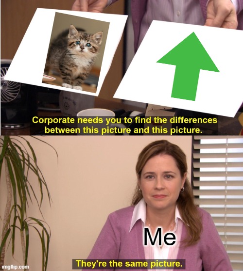 Kittens Are Beautiful, Just Like Upvotes! | Me | image tagged in memes,they're the same picture | made w/ Imgflip meme maker