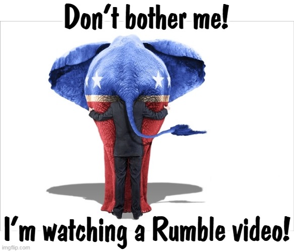 Republican elephant with politician and voter | Don't bother me! I'm watching a Rumble video! | image tagged in republican elephant with politician and voter,rumble,video,right wing,propaganda | made w/ Imgflip meme maker