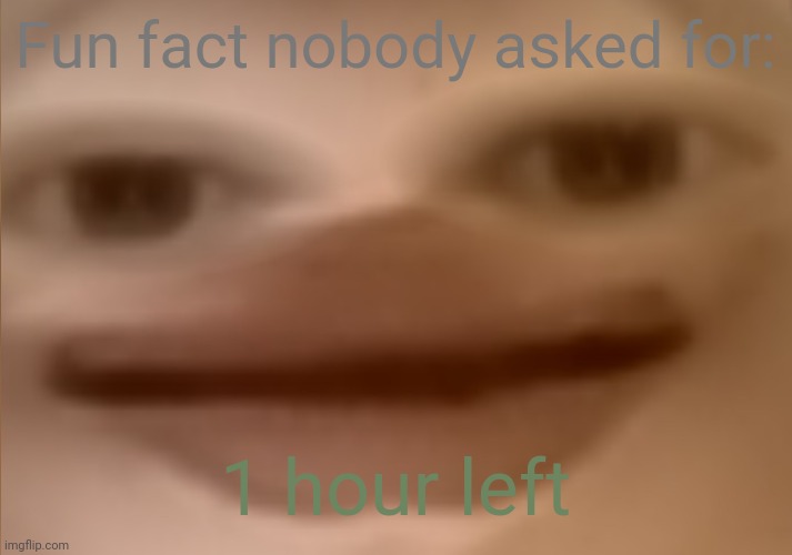 I currently have 24 people in my basement | Fun fact nobody asked for:; 1 hour left | image tagged in i currently have 19 people in my basement | made w/ Imgflip meme maker