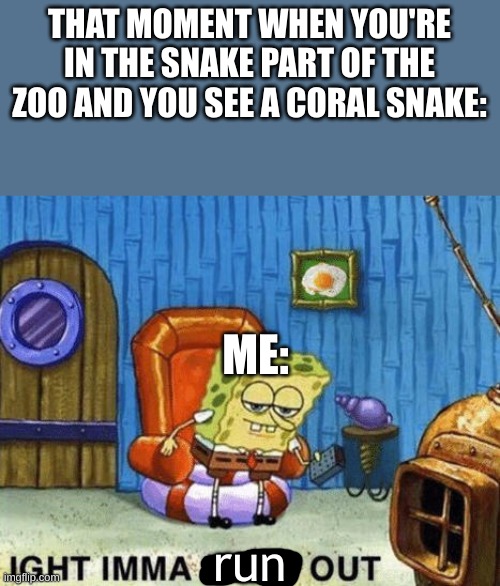 yep, Imma run out | THAT MOMENT WHEN YOU'RE IN THE SNAKE PART OF THE ZOO AND YOU SEE A CORAL SNAKE:; ME:; run | image tagged in ight imma head out | made w/ Imgflip meme maker
