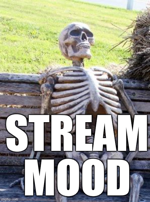 Waiting Skeleton Meme | STREAM MOOD | image tagged in memes,waiting skeleton | made w/ Imgflip meme maker