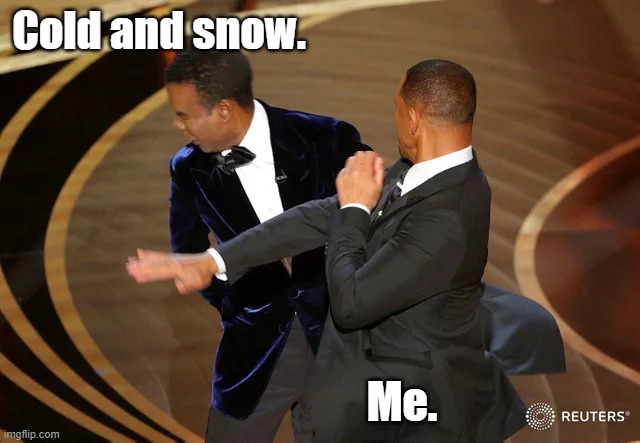 No to cold and snow. | Cold and snow. Me. | image tagged in will smith punching chris rock | made w/ Imgflip meme maker
