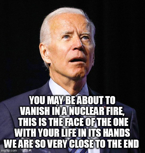 Joe Biden | YOU MAY BE ABOUT TO VANISH IN A NUCLEAR FIRE,
 THIS IS THE FACE OF THE ONE WITH YOUR LIFE IN ITS HANDS WE ARE SO VERY CLOSE TO THE END | image tagged in joe biden | made w/ Imgflip meme maker
