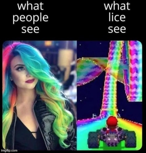 I want that hair | made w/ Imgflip meme maker