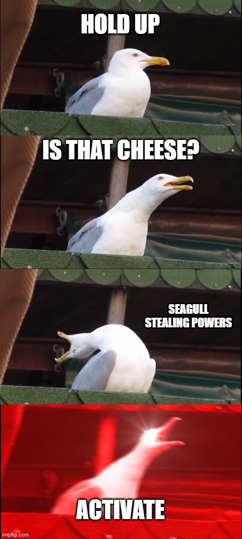 Seagull wants cheese | HOLD UP; IS THAT CHEESE? SEAGULL STEALING POWERS; ACTIVATE | image tagged in memes,inhaling seagull | made w/ Imgflip meme maker