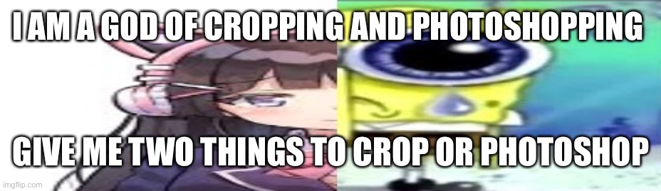 lol | I AM A GOD OF CROPPING AND PHOTOSHOPPING; GIVE ME TWO THINGS TO CROP OR PHOTOSHOP | image tagged in lol | made w/ Imgflip meme maker