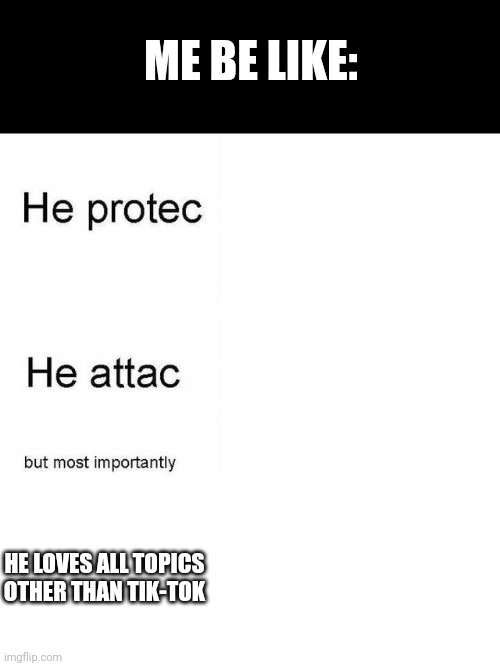 He protec he attac but most importantly | ME BE LIKE: HE LOVES ALL TOPICS OTHER THAN TIK-TOK | image tagged in he protec he attac but most importantly | made w/ Imgflip meme maker