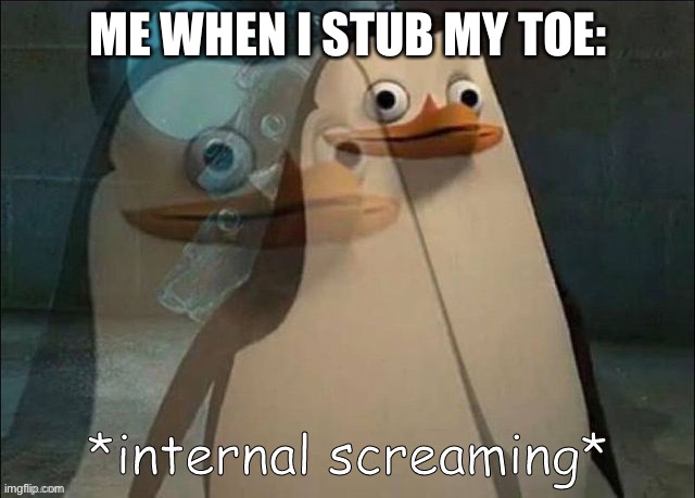 IT WAS PAIN | ME WHEN I STUB MY TOE: | image tagged in private internal screaming | made w/ Imgflip meme maker