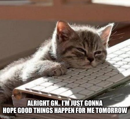 tired cat | ALRIGHT GN.. I’M JUST GONNA HOPE GOOD THINGS HAPPEN FOR ME TOMORROW | image tagged in tired cat | made w/ Imgflip meme maker