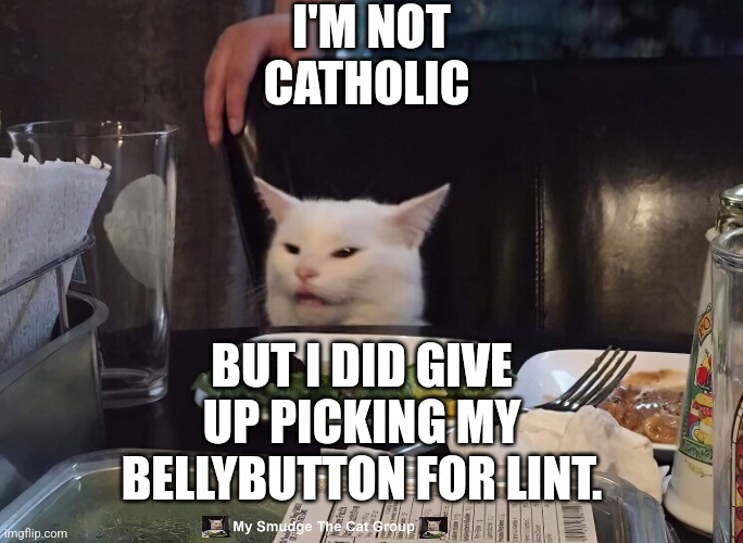 I'M NOT CATHOLIC; BUT I DID GIVE UP PICKING MY BELLYBUTTON FOR LINT. | image tagged in smudge the cat,woman yelling at cat | made w/ Imgflip meme maker