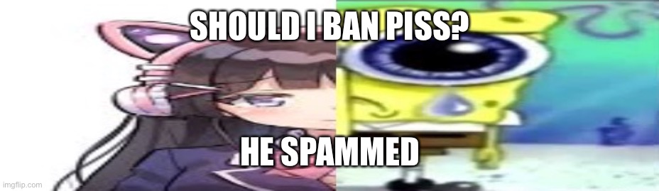 Idk | SHOULD I BAN PISS? HE SPAMMED | image tagged in lol | made w/ Imgflip meme maker