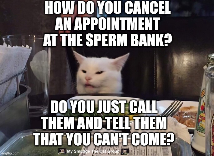 HOW DO YOU CANCEL AN APPOINTMENT AT THE SPERM BANK? DO YOU JUST CALL THEM AND TELL THEM THAT YOU CAN'T COME? | image tagged in smudge the cat,woman yelling at cat | made w/ Imgflip meme maker
