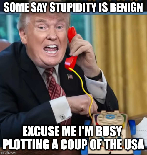 funny how very rich get away with anything virtually | SOME SAY STUPIDITY IS BENIGN; EXCUSE ME I'M BUSY 
PLOTTING A COUP OF THE USA | image tagged in i'm the president | made w/ Imgflip meme maker